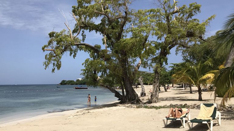 Tourists relax under a tree on Negril beach in Jamacia on May 20, 2017. (Photo by Daniel SLIM / AFP) (Photo credit should read DANIEL SLIM/AFP via Getty Images)
