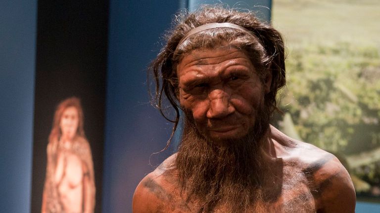 Neanderthals are an extinct subspecies of human