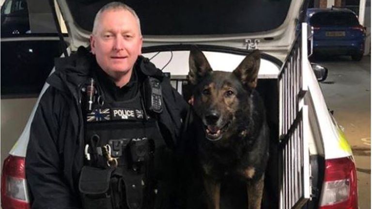 Police dog sniffs out wedding ring thrown away after marital row Police dog sniffs out wedding ring thrown away after marital row
