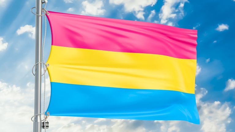 The pansexual pride flag was designed as a symbol for the community 