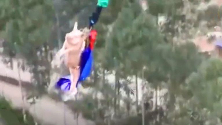 The theme park in China forced the pig to jump. Pic: Shine