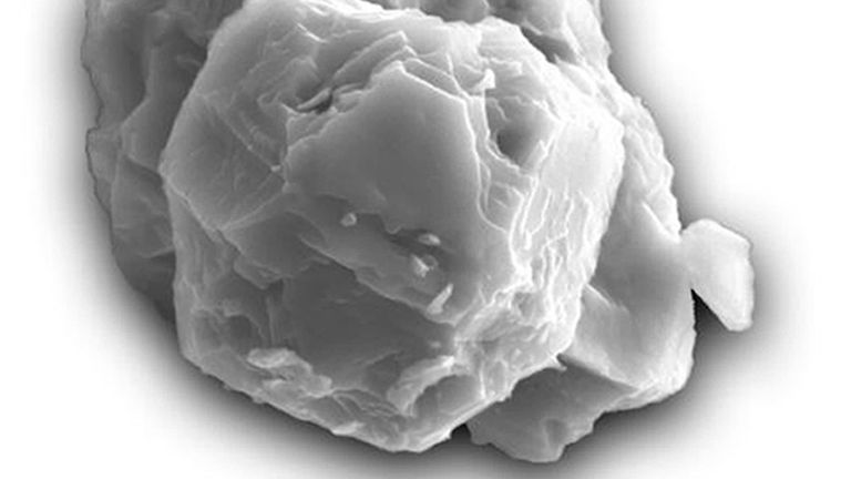 The  presolar silicon carbide grain is around eight micrometers in its longest dimension Pic:  Janaina N. Avila/PA