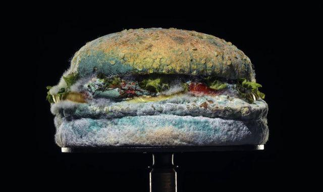 Burger King uses mouldy Whopper to promote its signature product