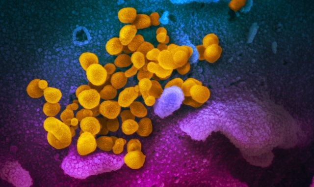 Coronavirus outbreak could be feared 'Disease X', says World Health Organisation adviser