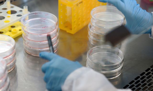Coronavirus: Northern Ireland confirms first case of disease