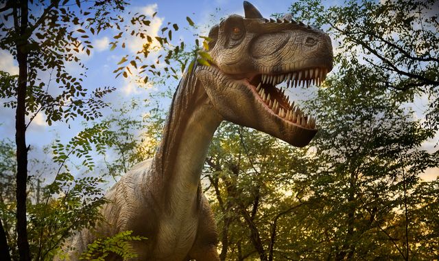 Eggshells suggest dinosaurs were actually warm-blooded