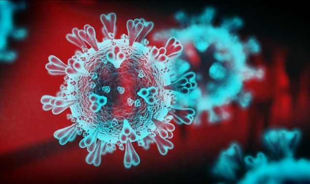 Coronavirus: Ten key lessons the government must learn set out in new report