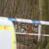 Man dies after being hit by falling tree branch