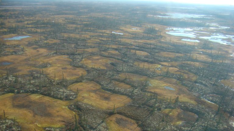 Aerial image of interspersed a permafrost peatland in Innoko National Wildlife Refuge in Alaska interspersed with smaller areas of thermokarst wetlands. Credit: Miriam Jones, U.S. Geological Survey