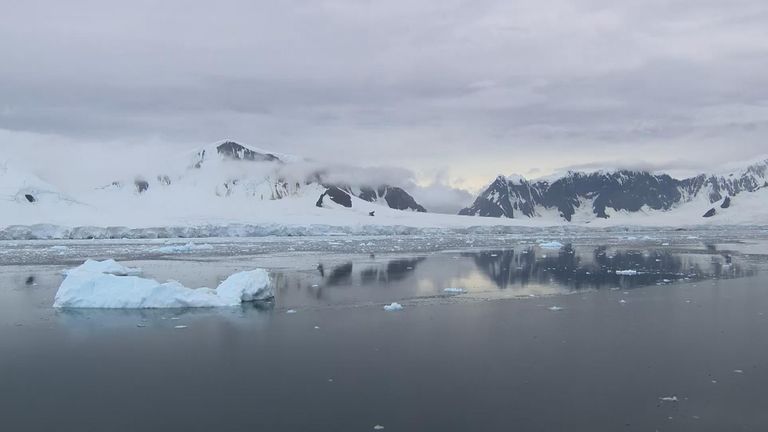 Footage captures moment 40m 'tower block' of ice splits from glacier ...