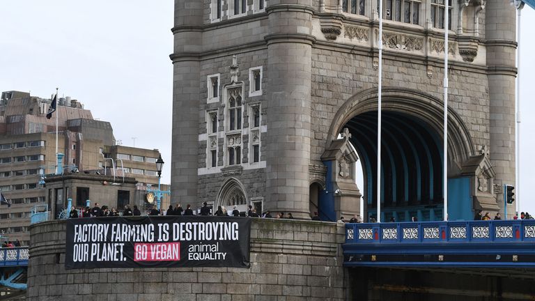 Protesters unveiled a banner on Tower Bridge
