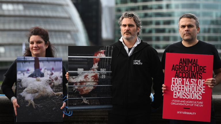 Joaquin Phoenix joined animal equality protesters 