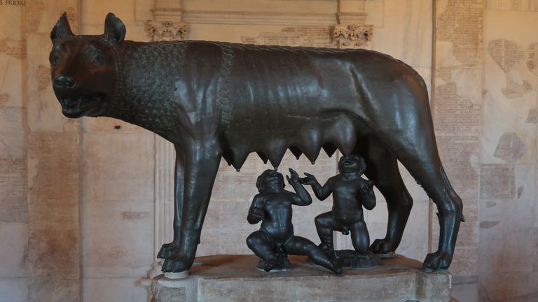 Legend has it that Romulus and Remus were suckled by a she-wolf as babies