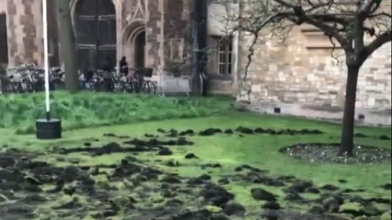 Climate activists dug up the lawn outside Trinity College, Cambridge, on February 17 in a protest over the college’s role in a new development in the Suffolk countryside.