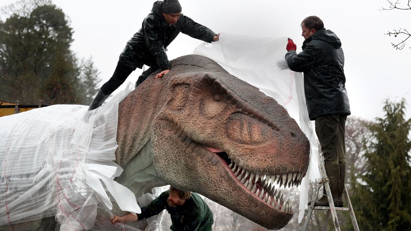 Life-size dinosaurs arrive at safari park to form new exhibition in Stirling | UK News