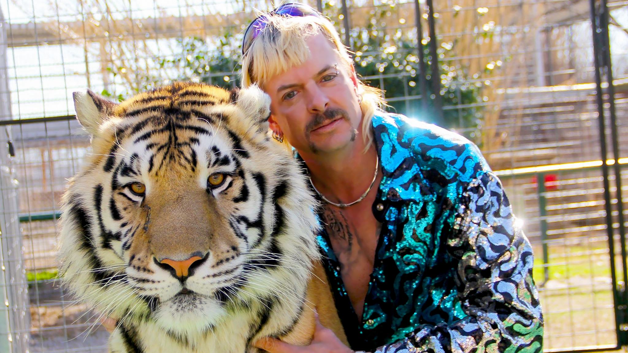Tiger King: Animal rights group PETA warns against using live animals in TV  drama adaptation | Ents & Arts News | Sky News