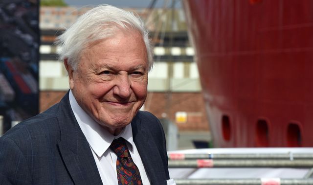 Sir David Attenborough: Pandemic could make nations realise climate issue depends on co-operation