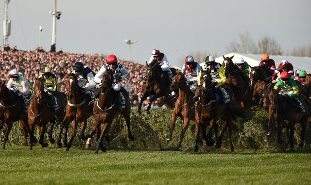 Grand National: Fancy a flutter? Ten to watch at Aintree - Vimarsana News