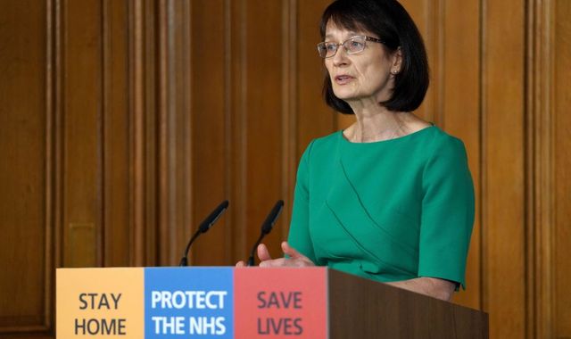 Coronavirus: It could be six months or more before UK returns to normal - government doctor