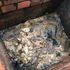 Why is panic buying of toilet rolls causing blocked sewers?