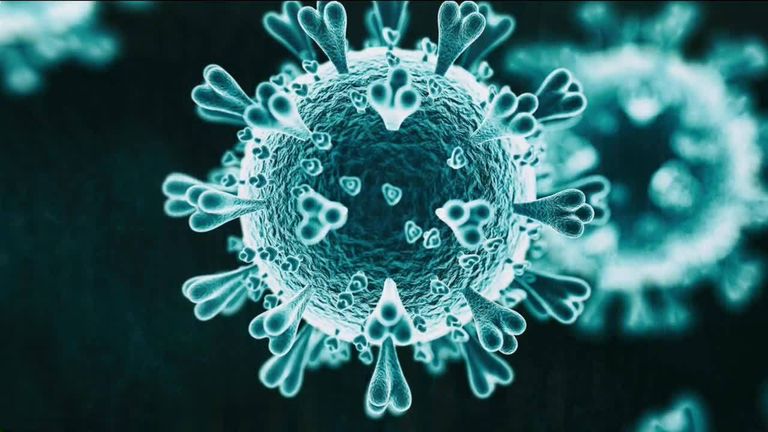 Coronavirus: How does COVID-19 attack the human body? | UK ...