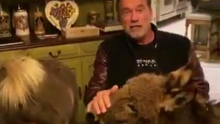 Former Terminator Arnold Schwarzenegger released a video at home with his two donkeys, telling people not to go out.