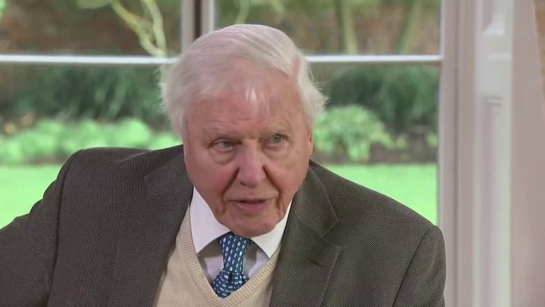 Sir David Attenborough says young people need to show politicians that they mean what they say.
