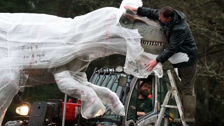 Gary Gilmour from Blair Drummond Safari Park unwraps and checks an Allosaurus at the safari park