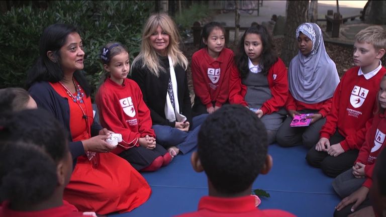 Superstar Goldie Hawn has spent years developing a program to aid childrens&#39; mental health