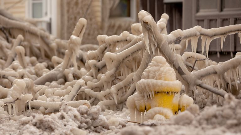 Il ghiaccio si forma su un idrante durante una bufera di neve ad Amburgo, New York, Stati Uniti (REUTERS / Lindsay DeDario)