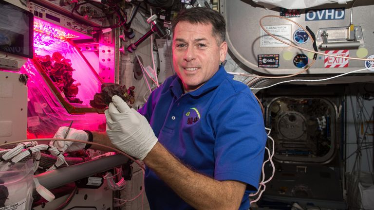 Astronaut Shane Kimbrough in front of the &#39;Veggie&#39; chamber on the ISS in November 2016. Credit: NASA