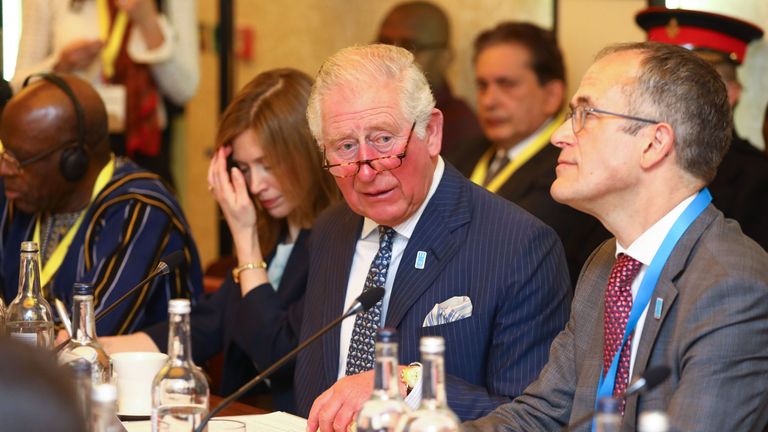 Charles sat across from Prince Albert at the WaterAid summit