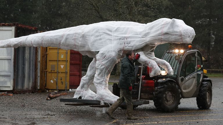 Dinosaur models arrive at the park for the new exhibition, World of Dinosaurs