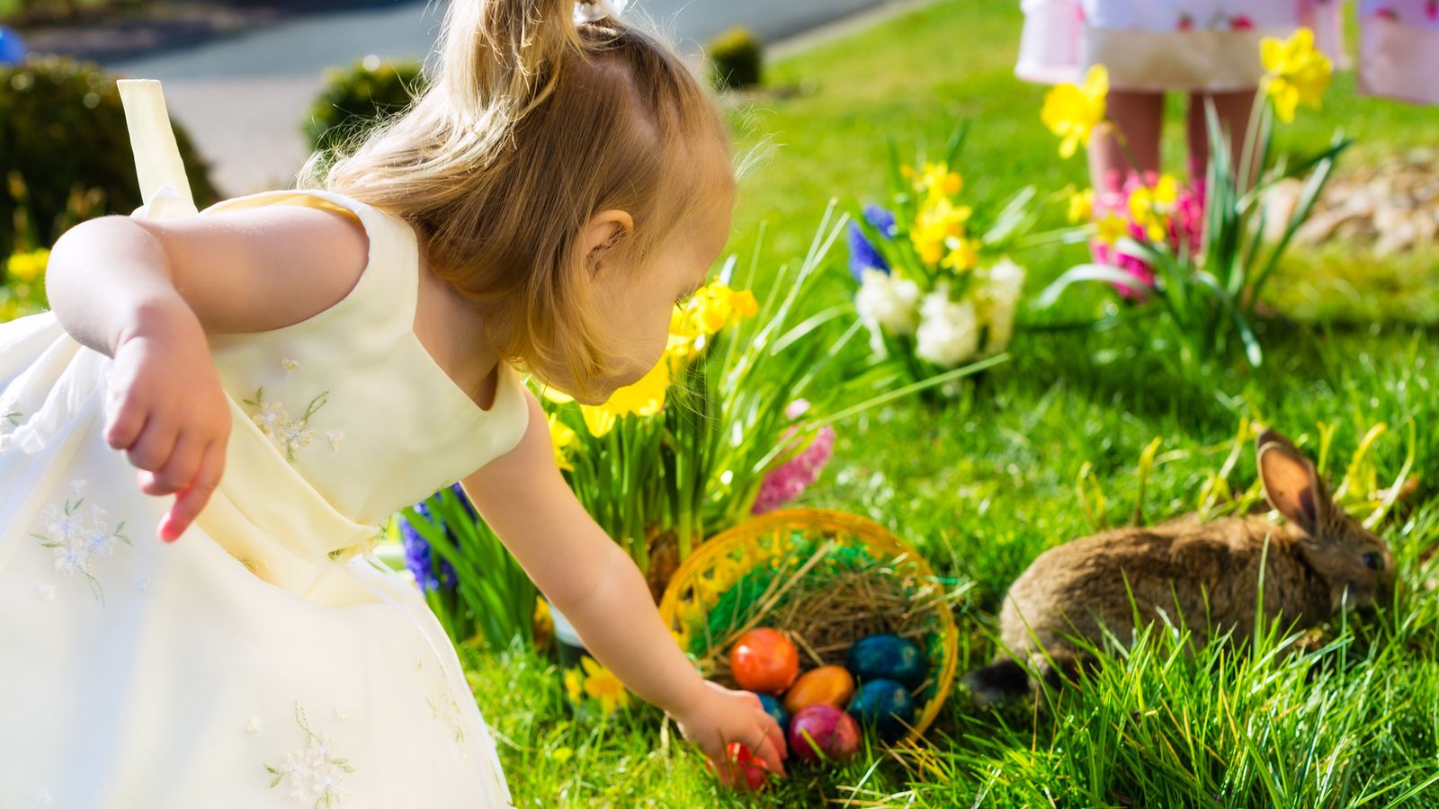 Easter Egg hunt on a meadow in spring, in the foreground a living Easter bu...