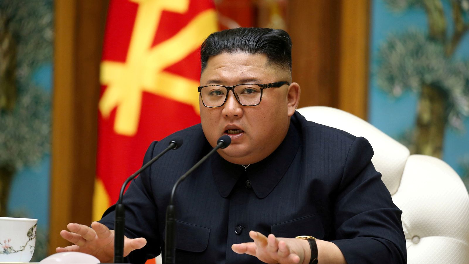 Kim Jong Un North Korean Leader Is Alive And Well Says South Korea World News Sky News 
