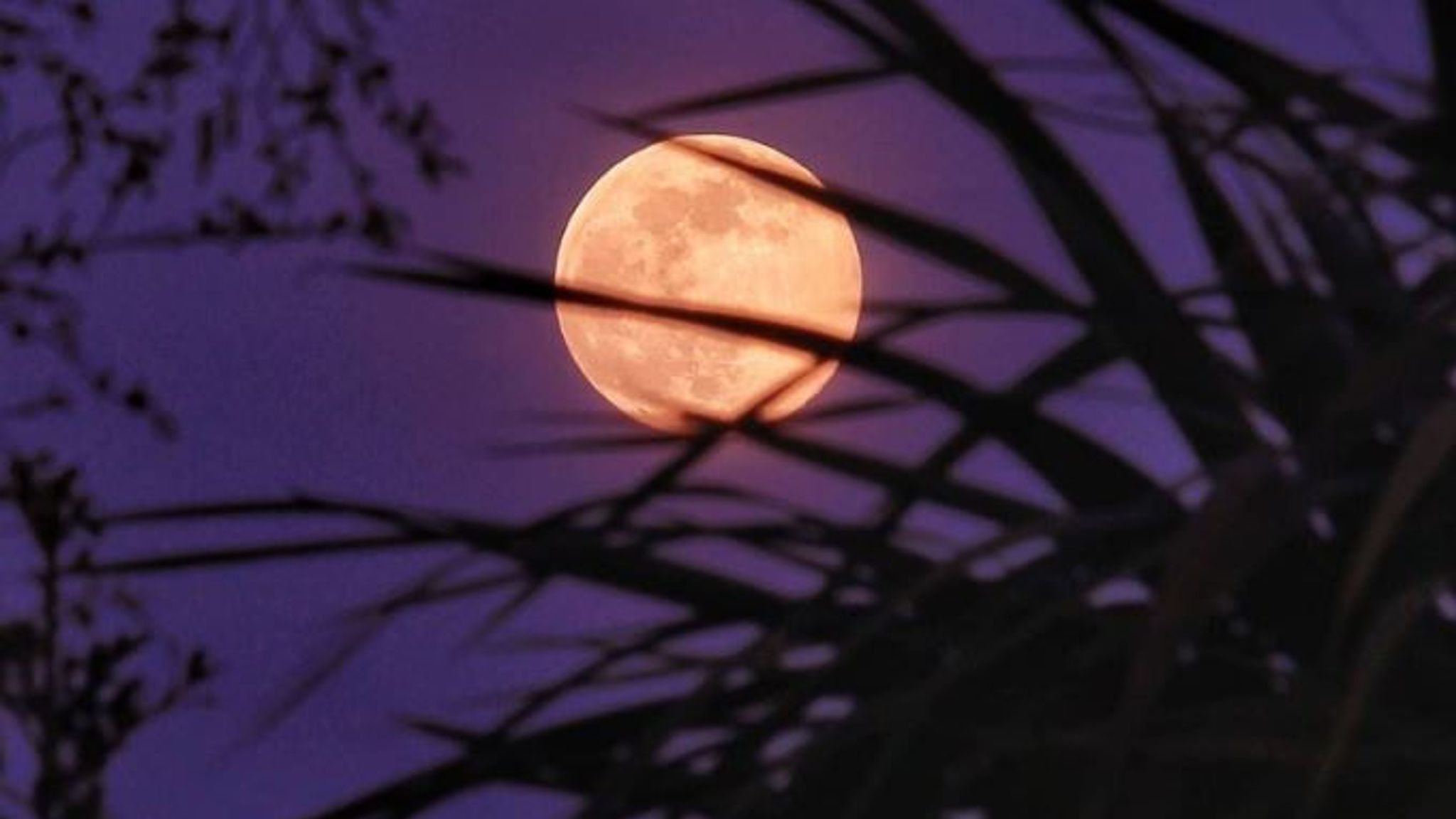Super Flower Moon How to spot the last supermoon of 2020 UK News