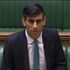 Chancellor votes against government... and blames online 'teething' issues