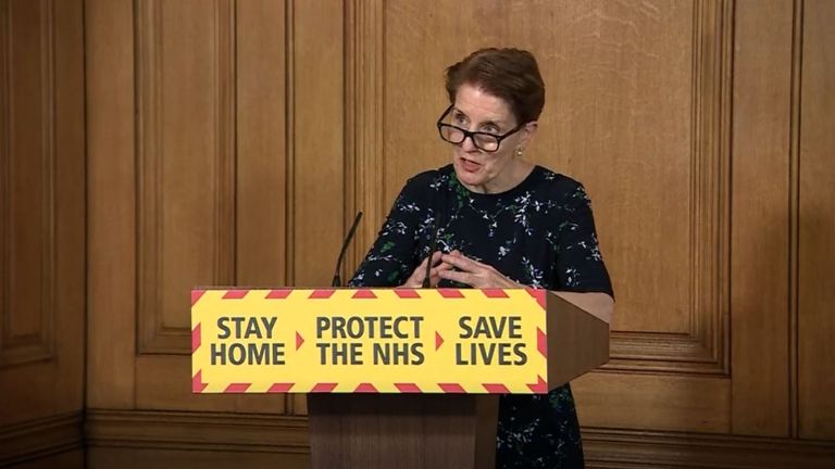 Screen grab of Medical Director at Public Health England Professor Yvonne Doyle during a media briefing in Downing Street, London, on coronavirus (COVID-19).