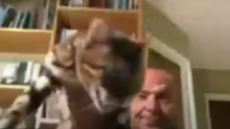 The cat was thrown out of shot moments after he held it up to the camera