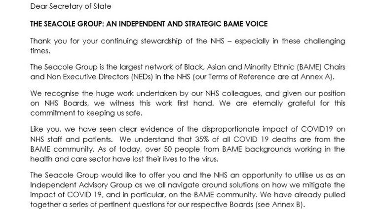 The letter sent by the Seacole Group offering to help as independent advisory group