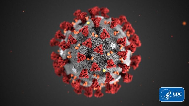 An illustration of the coronavirus structure