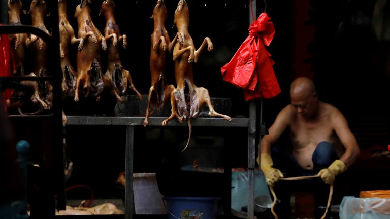 Dogs are currently considered to be livestock in China