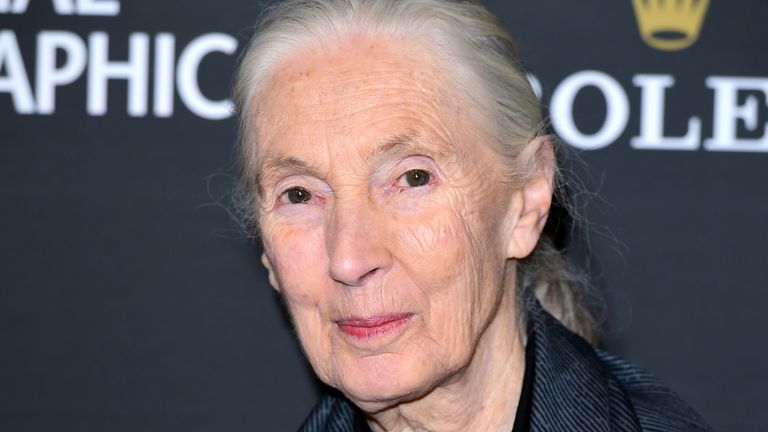 Dr Jane Goodall