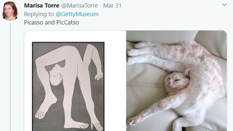 This contortionist cat is just like the Picasso original