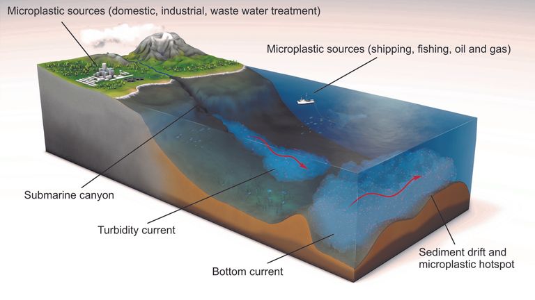 Seabed currents sweep the microplastics up into a hotspot. Pic: Science journal