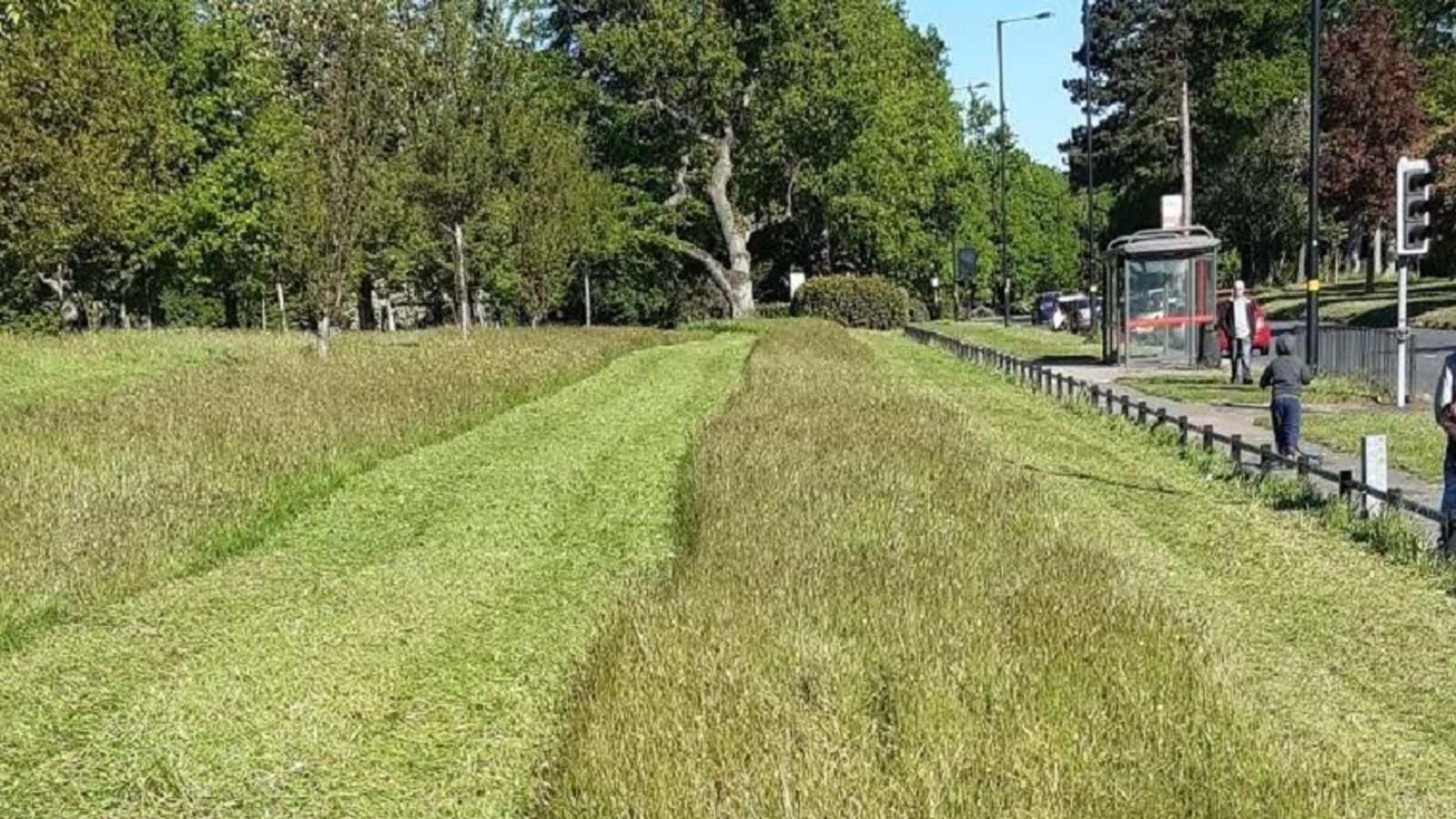 Coronavirus Birmingham mows socially distant 'strips' into grass in