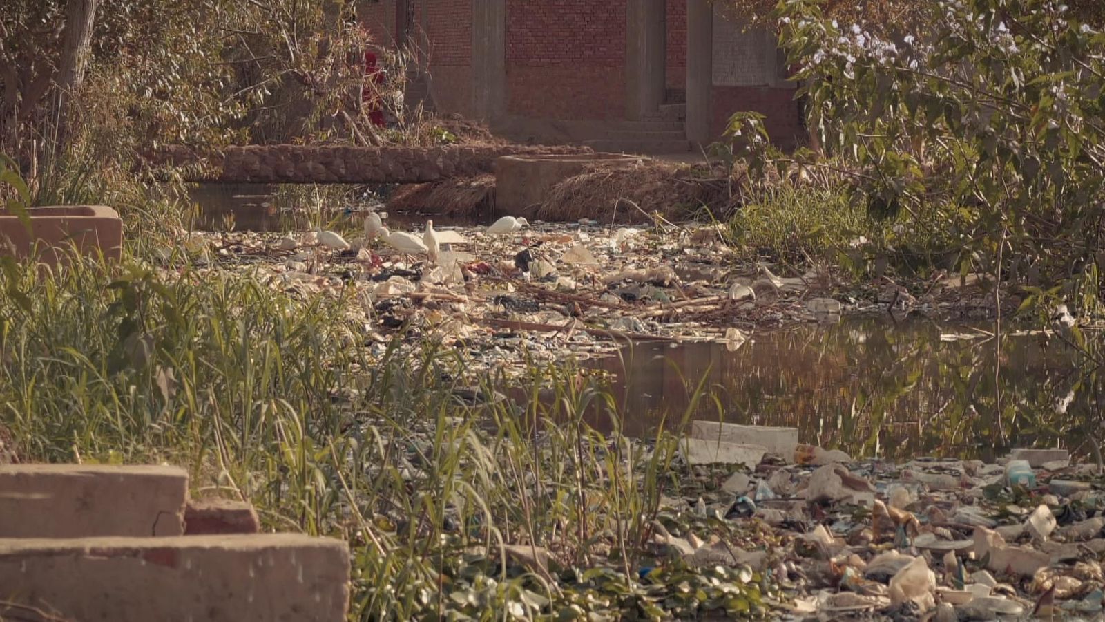 Plastic Nile Threequarters of fish in world's longest river contain