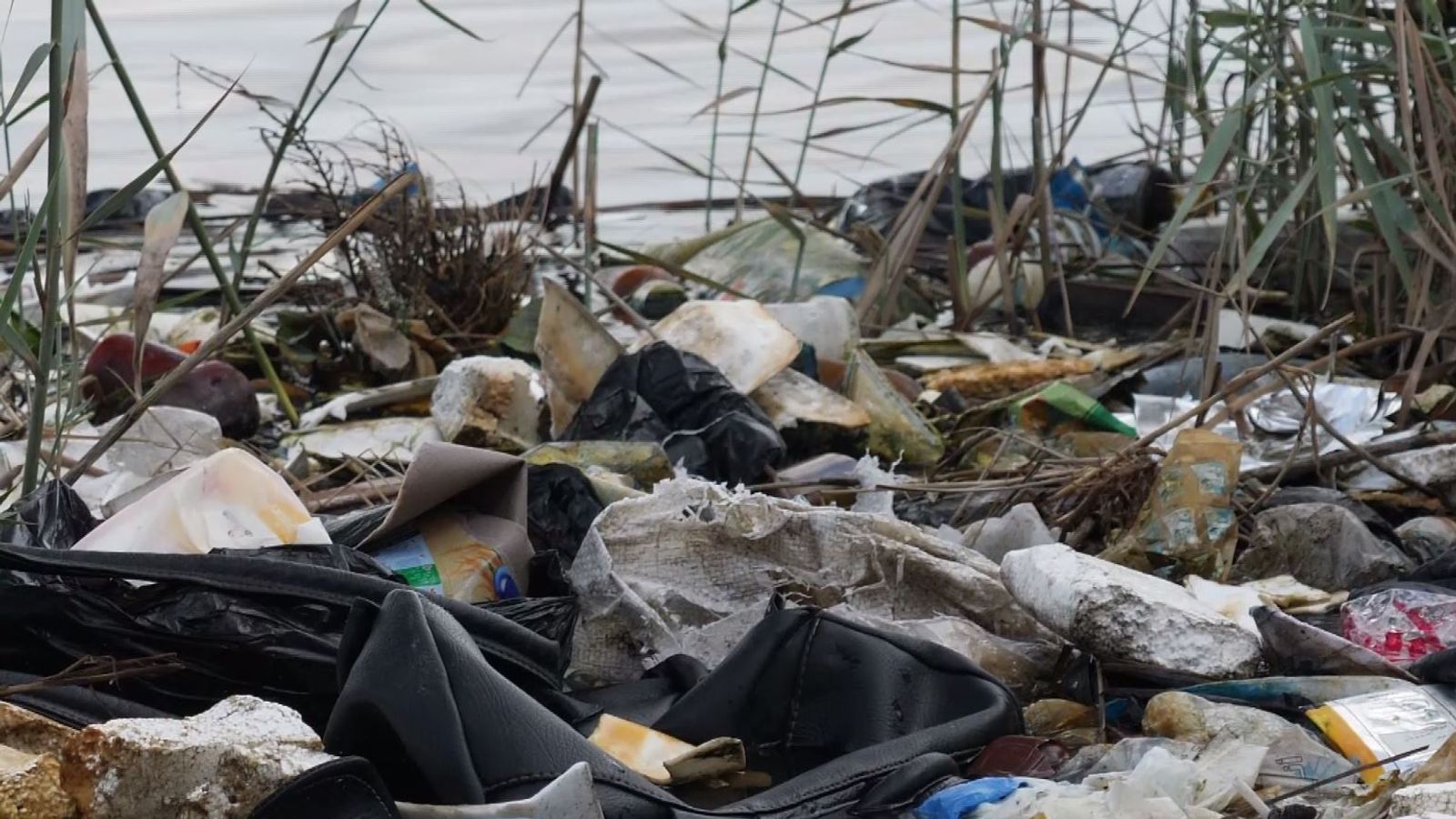 Egypt Plastic is clogging the River Nile and its waterways World