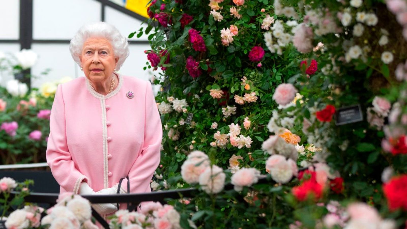 Chelsea Flower Show Queen shows her support as famous event kicks off virtually Ents & Arts