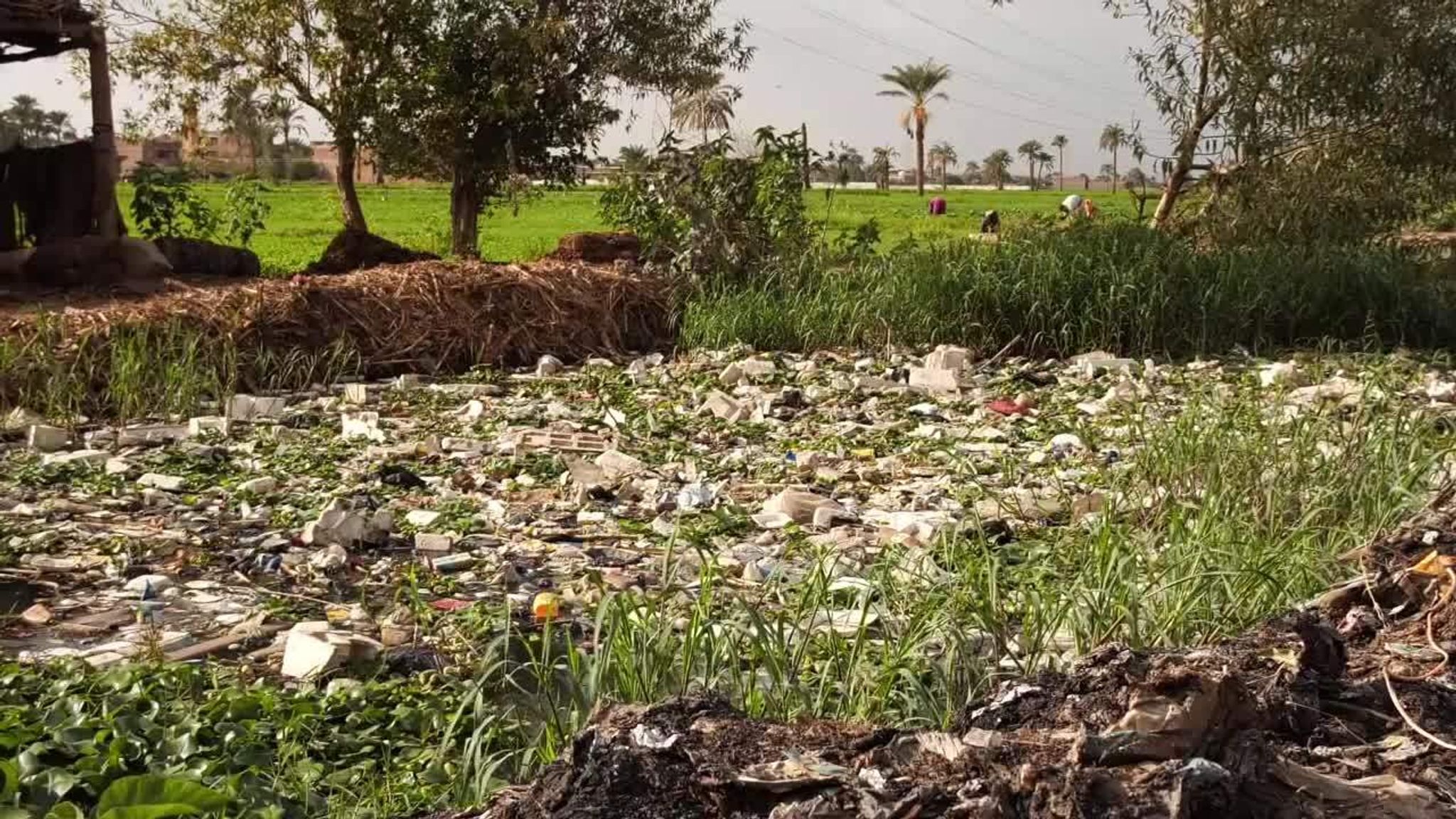 Plastic Nile Pulling up plastic from world's longest river is horribly